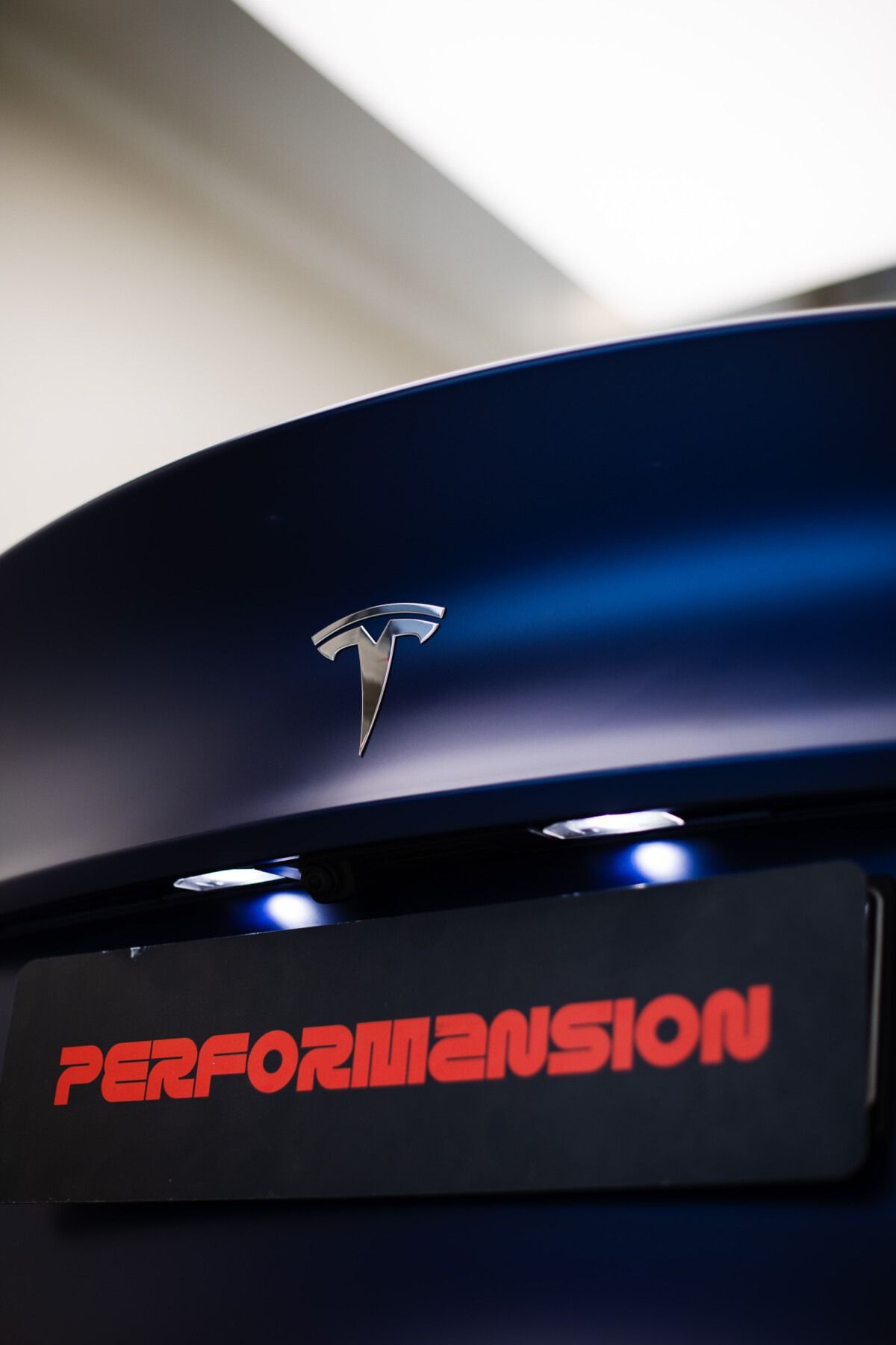 TESLA MODEL 3 MAT PPF-2